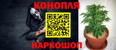 ПСИЛОЦИБИНОВЫЕ ГРИБЫ Кимры