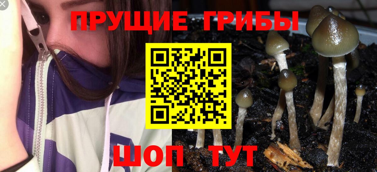 Галлюциногенные грибы мухоморы Будённовск