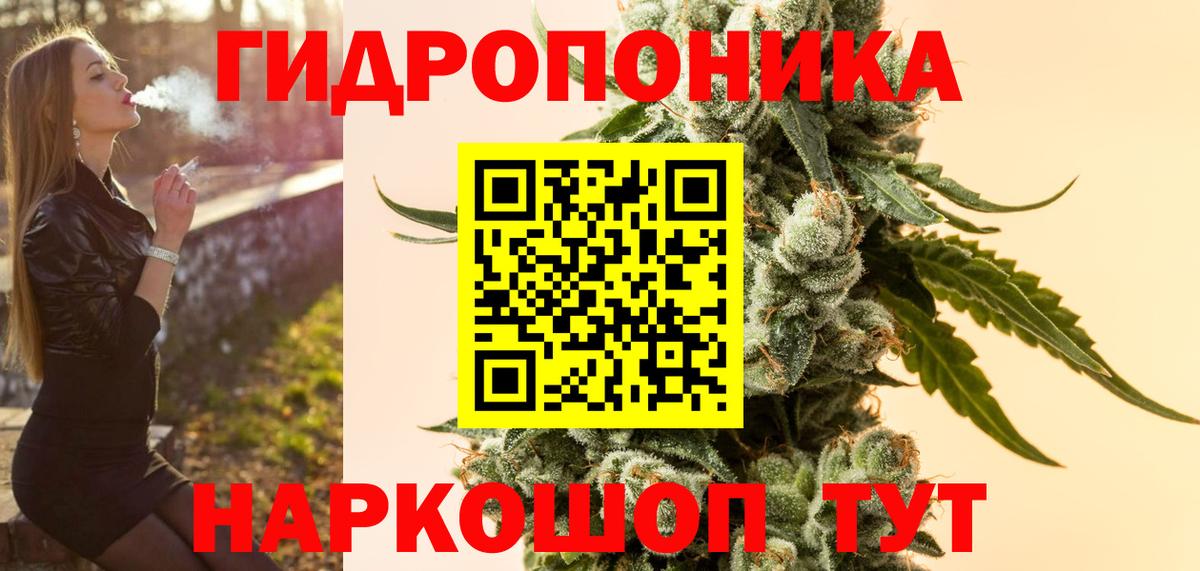 Бошки марихуана ГИДРОПОН Будённовск